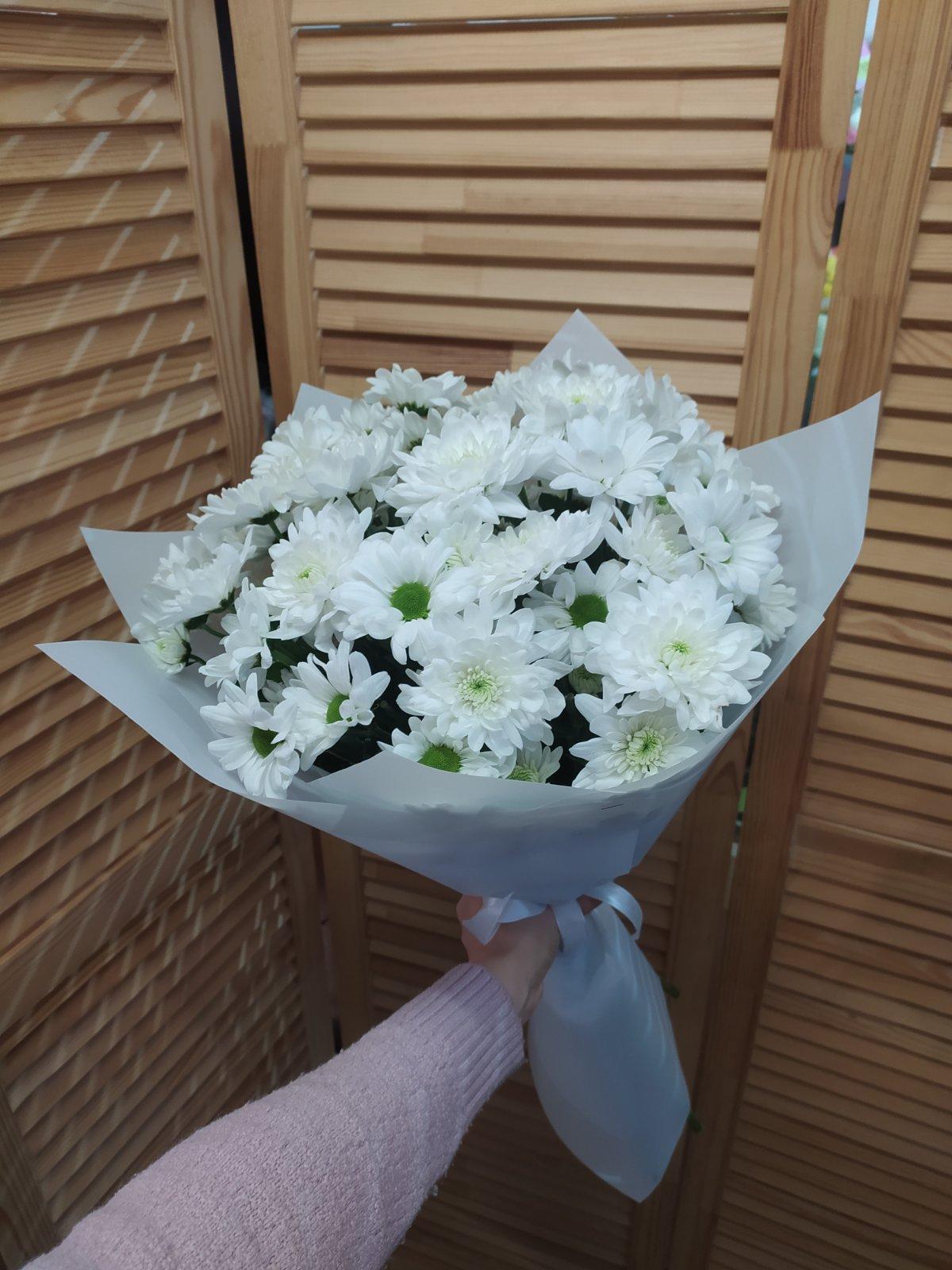 хризантема иваново. цветок папоротника. ветка хризантемы дубочки.